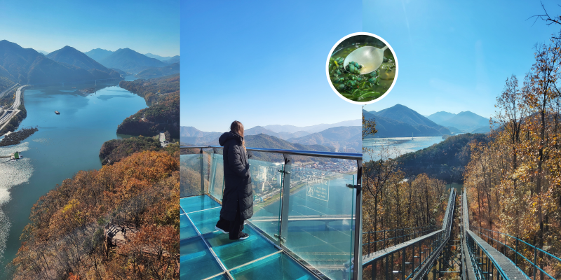 The left and middle photos show views from the Mancheonha skywalk, while the right photo captures the view from the monorail. The photo in the circle is of the marsh snail stew.