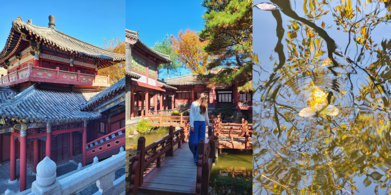 The left photo features a fortress, the middle shows me on the bridge overlooking the koi pond, and the right photo captures the golden koi fish.