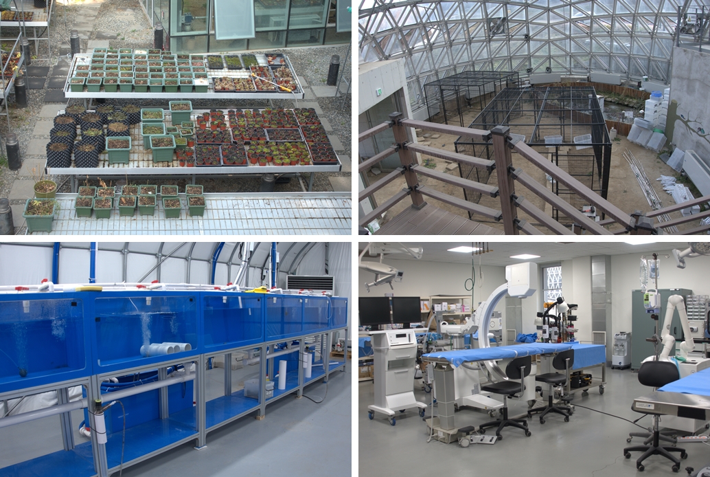 Clockwise from left is a greenhouse for plants, one for insects, veterinary clinic, and research wing for fish and invertebrates. (Gil Kyuyoung) 