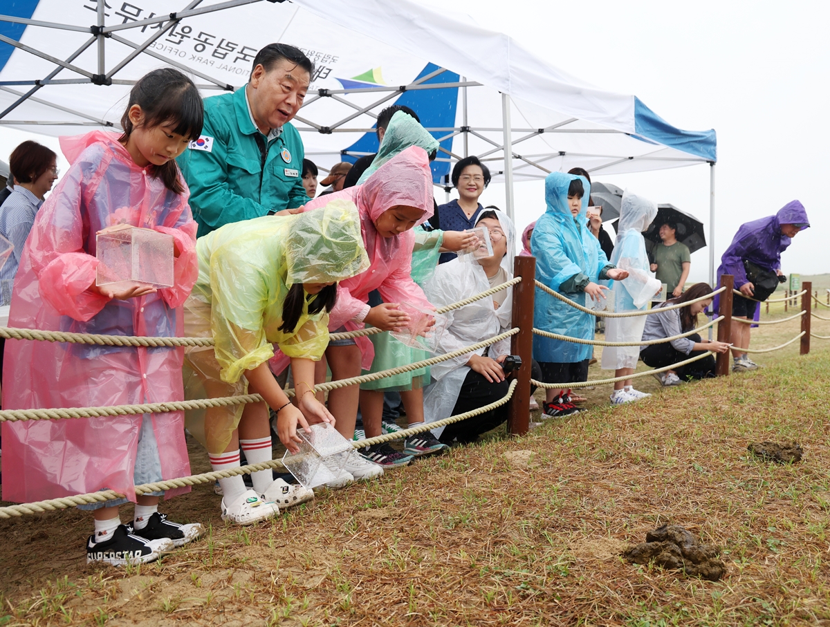 The Research Center for Endangered Species in September 2023 holds an event to release 200 dung beetles at Sinduri Coastal Sand Dune in Taean-gun County, Chungcheongnam-do Province. 