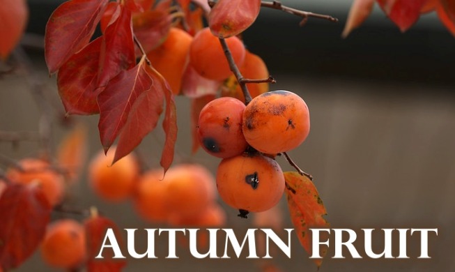 4 Korean fruits to try in fall