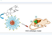 New liver cancer therapy uses nano technology