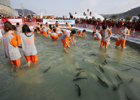 Pyeongchang Trout Festival