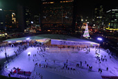 Enjoy Seoul winter skating, sledding