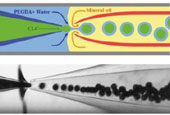 Researchers develop encapsulated LCDs