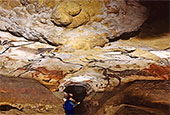 Lascaux Caves Paleolithic paintings on display in Korea 