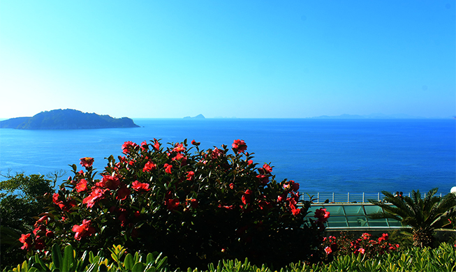 Spring in December at Jangsado Sea Park