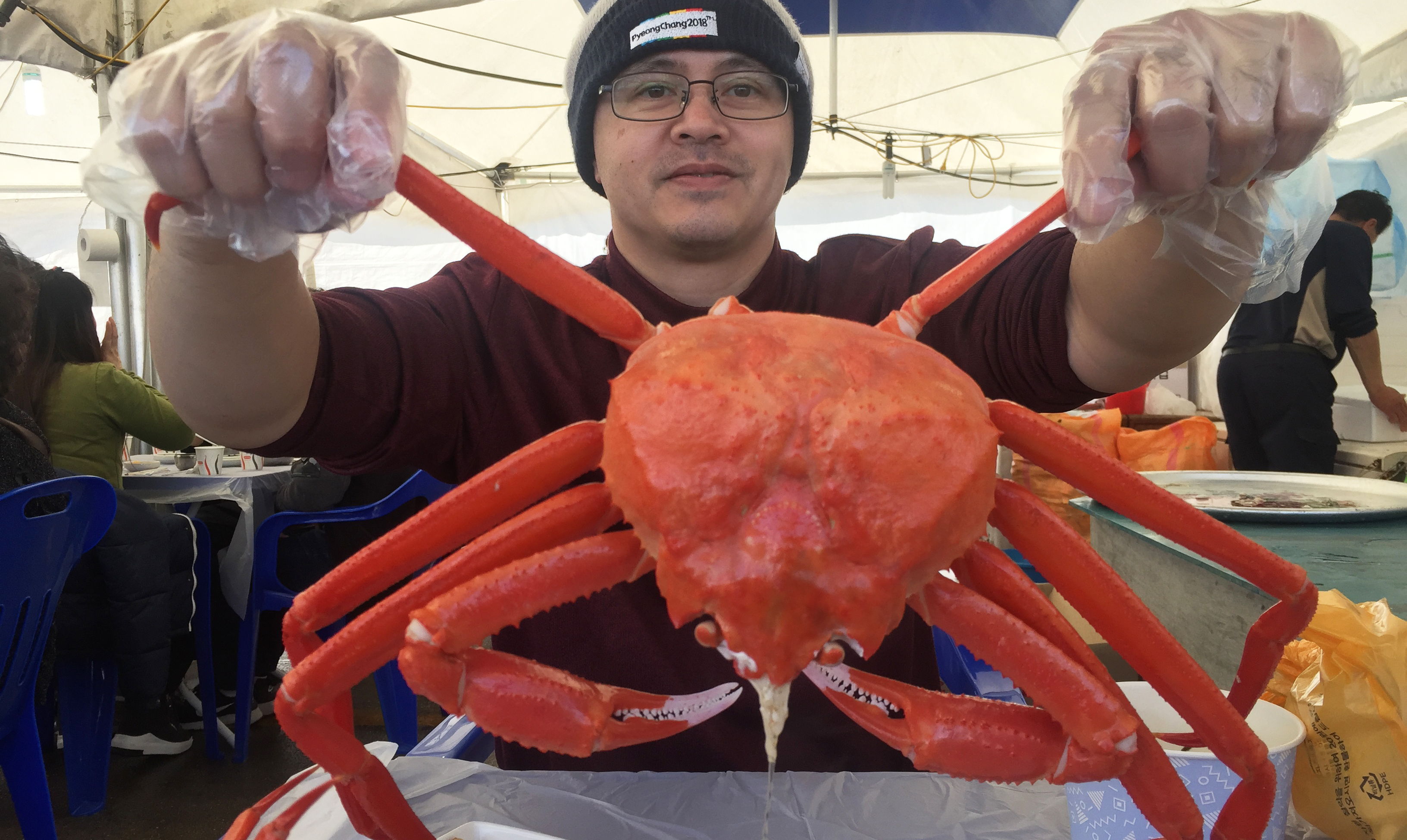 Uljin: chasing snow crabs, discovering more