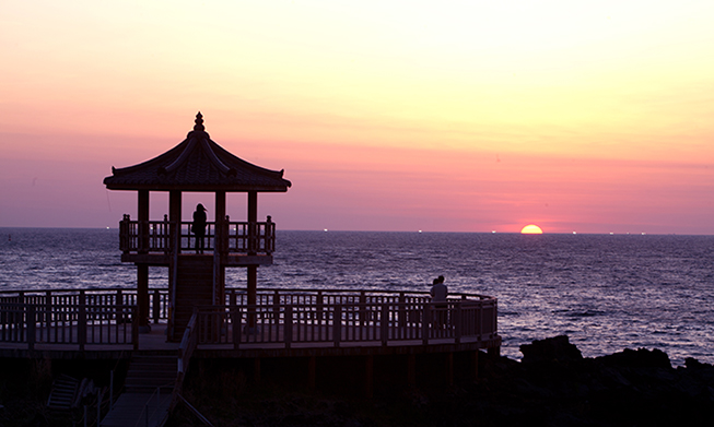 Flowers, sea, stars fill Jeju in June