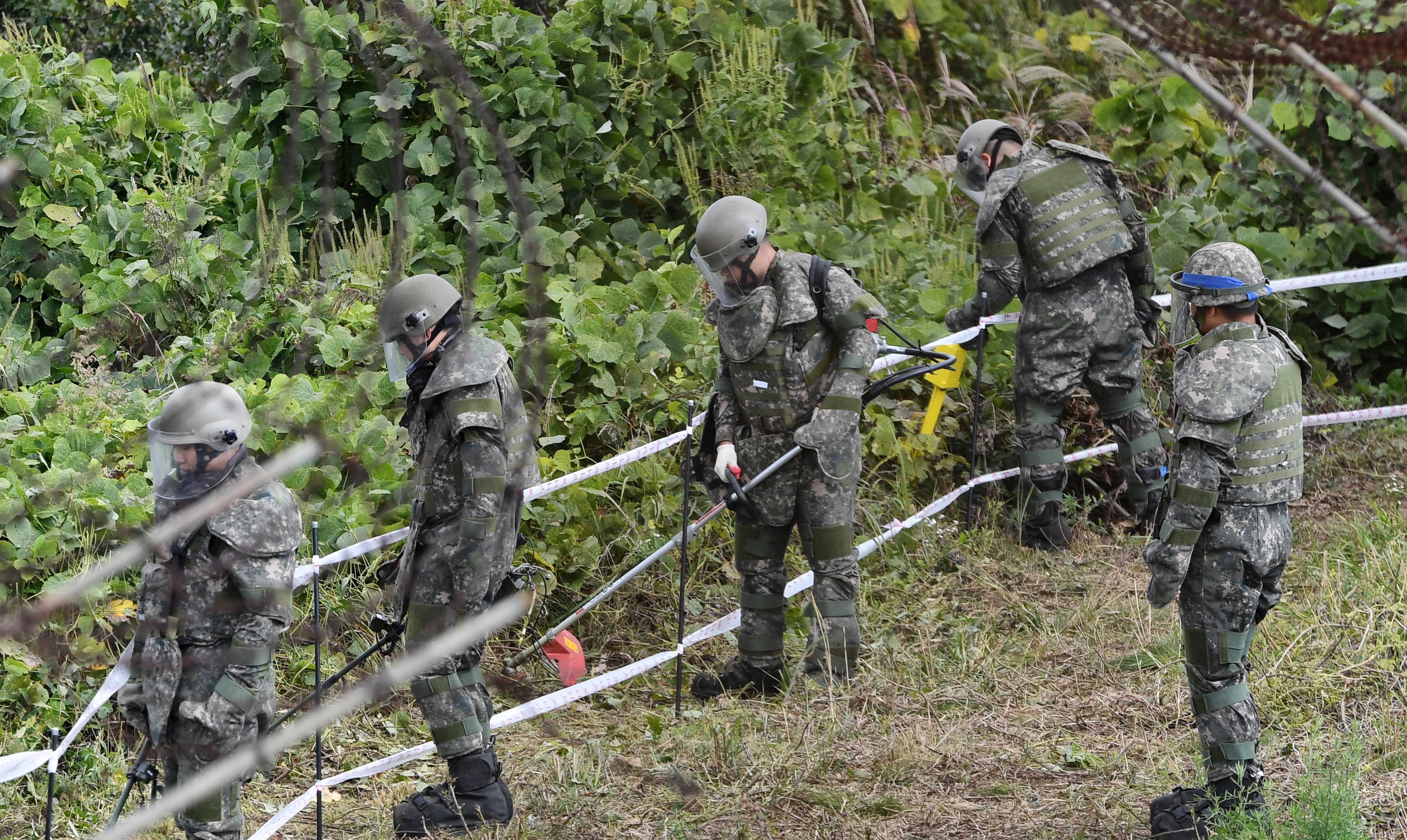 Mine-clearing at DMZ heralds beginning of peace