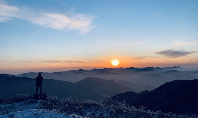 National parks in 2025 attract 2.05M foreign visitors: data