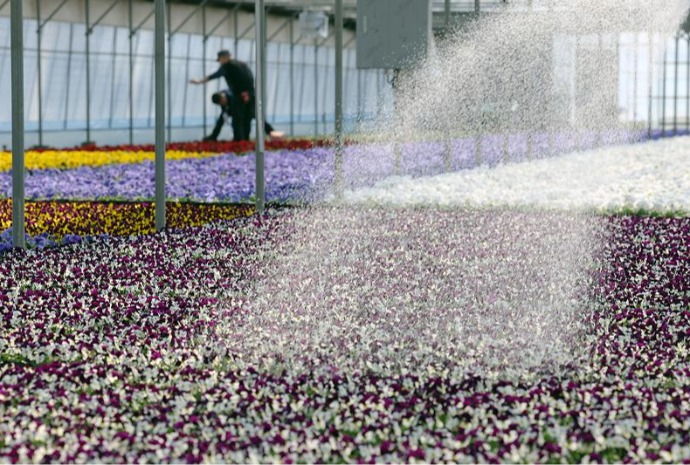 Flower nursery being prepped for spring