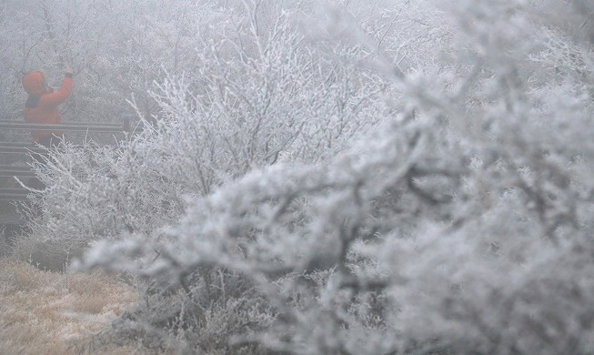 Nation's tallest mountain Hallasan sees first snowfall