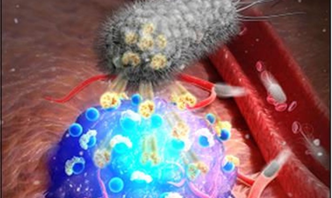 New tech raises precision in tumor imaging during surgery