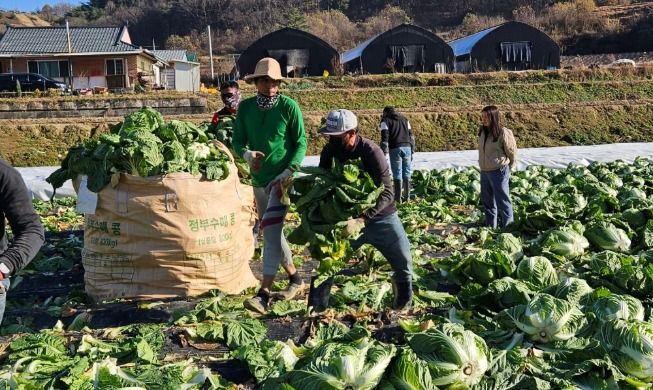 Long-term care insurance waived for migrant workers: reports