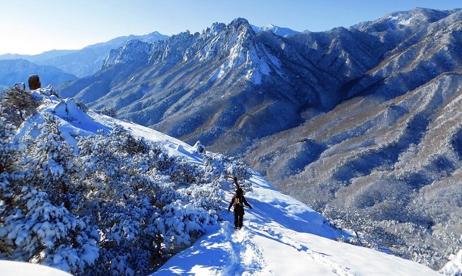 New guide makes exploring national parks easier, more fun