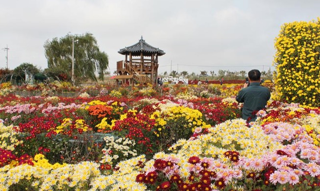 Enjoying fall at chrysanthemum garden