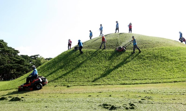 Weed removal at royal tombs before Chuseok