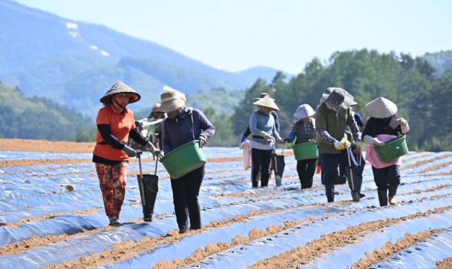 New system bans deportation of int'l workers with unpaid wages