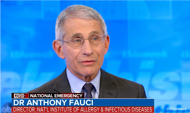 Korea's outbreak curve starting to flatten: Fauci