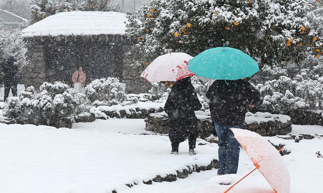 Mood on snow-covered Jeju Island