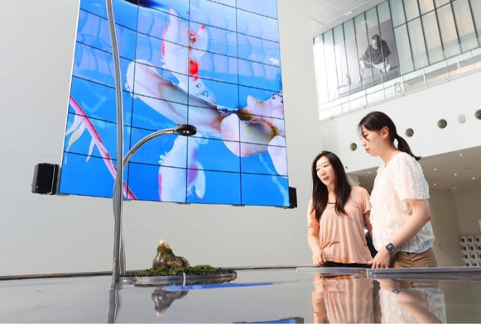 New aesthetics in digital era
