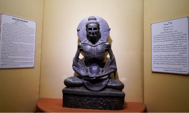 Domestic 3D tech digitizes 'Fasting Buddha' statue in Pakistan