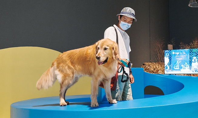 Seoul art exhibition allows visitors to bring their dogs