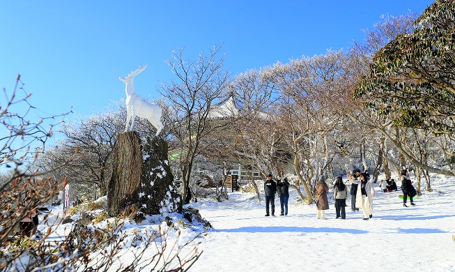 Tourists enjoy winter on Jeju Island's Hallasan Mountain