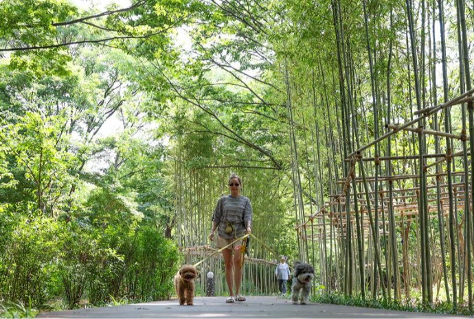 Walking around newly renovated Korean Forest Garden